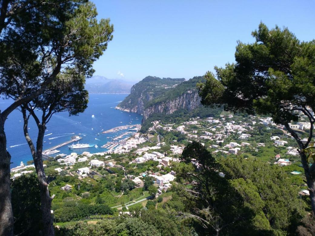Hotel La Casa Nel Bosco Capri Exterior foto